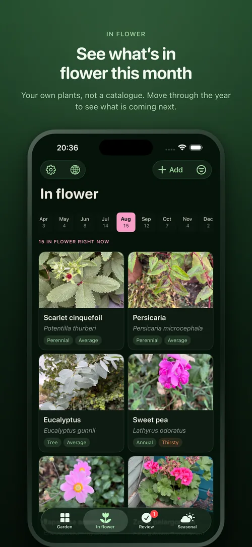 What is in flower this month