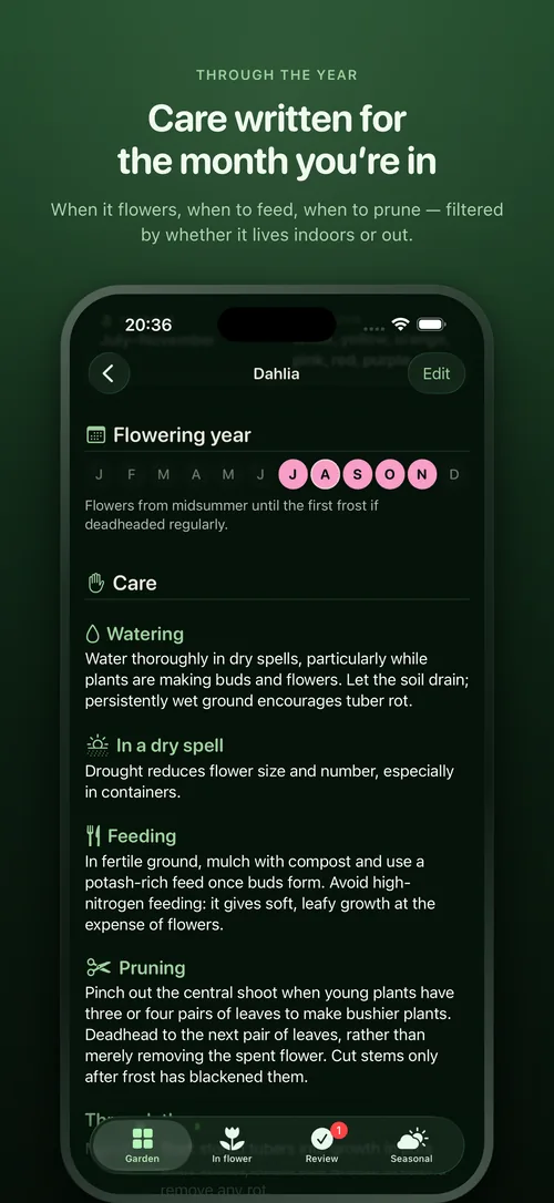 This month’s care jobs for the plants owned
